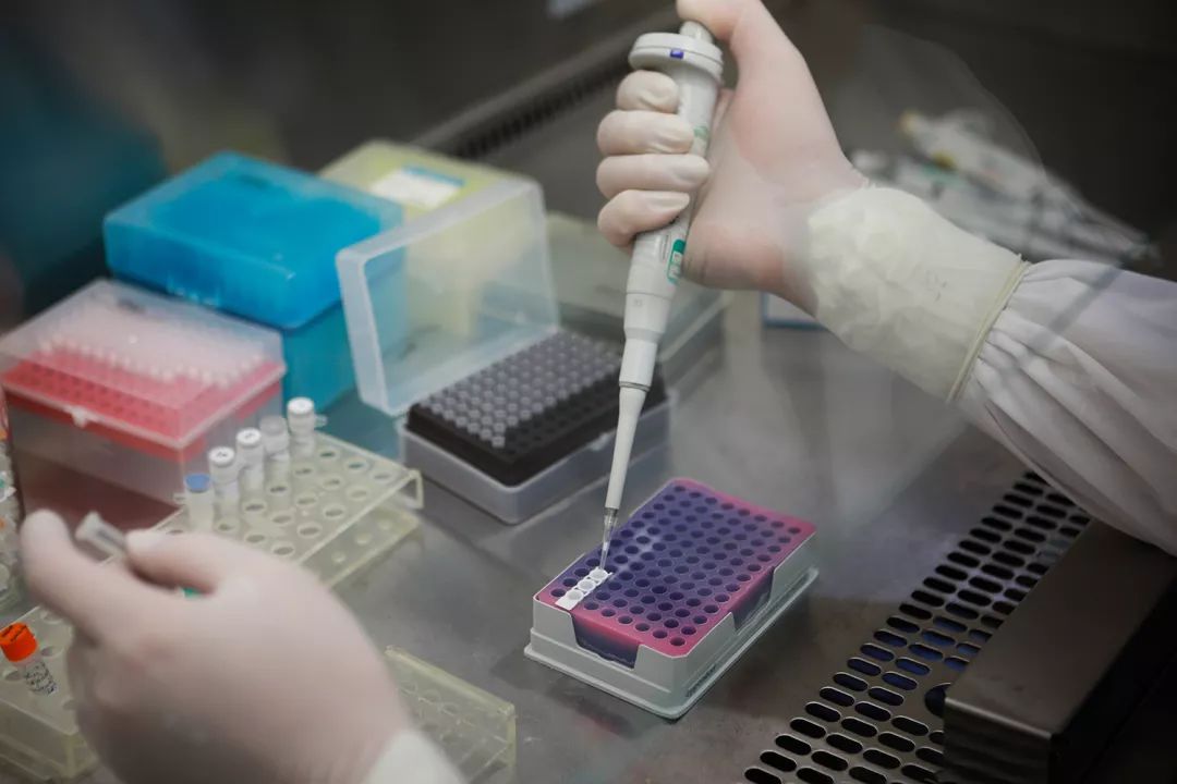 新冠“大方向”落地！7大“核酸检测车”龙头，谁是最后的王者