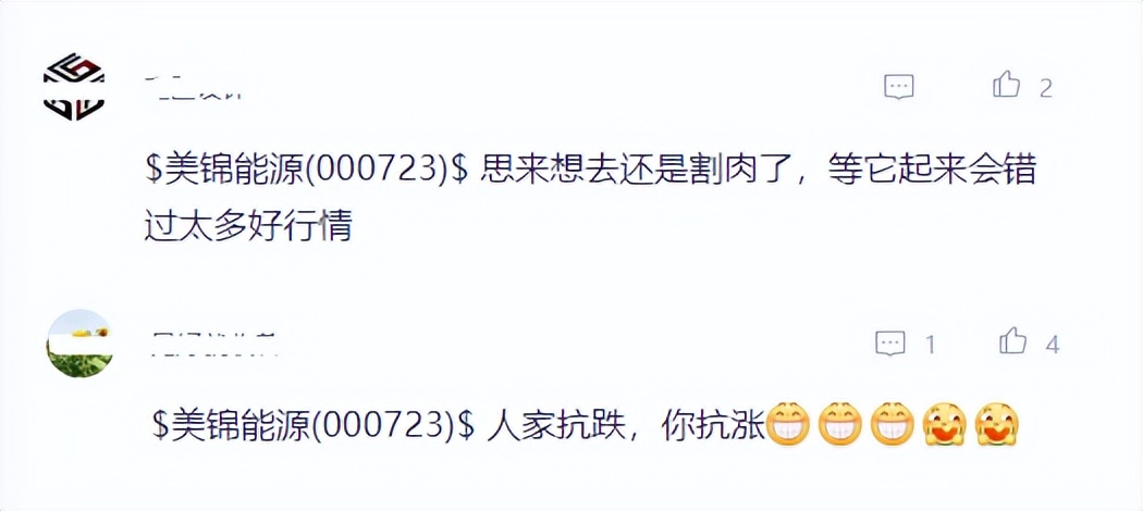 “人家抗跌你抗涨”，美锦能源市值蒸发313亿元，股民户均浮亏7万