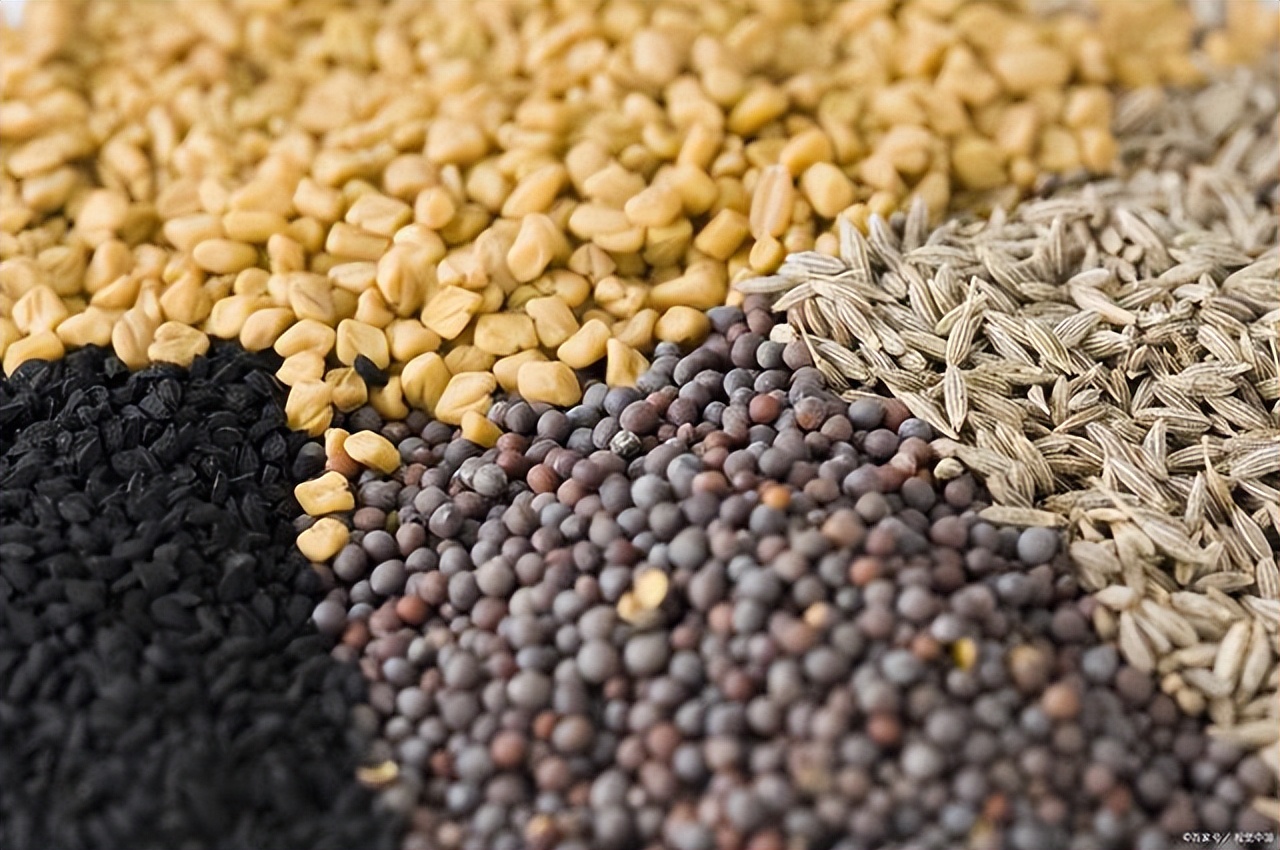 小麦“危机”爆发！这7大种子“低价”龙头，游资极其喜爱