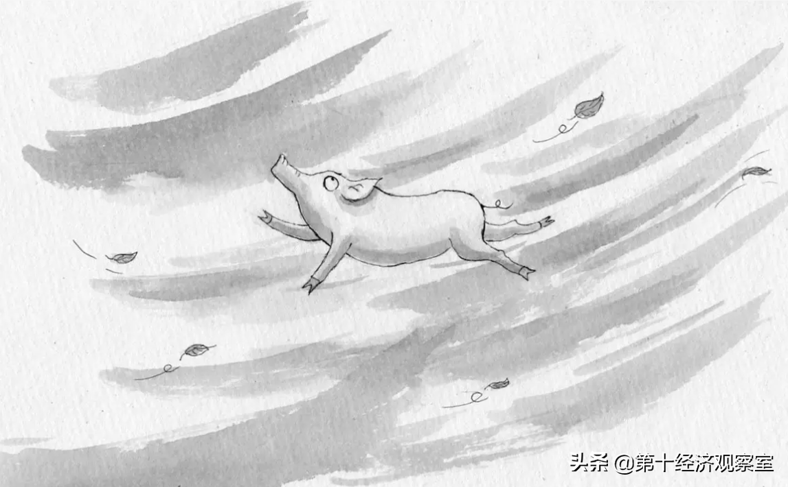 宝能爆发债务危机的本质原因是什么？是风停了，猪还想飞