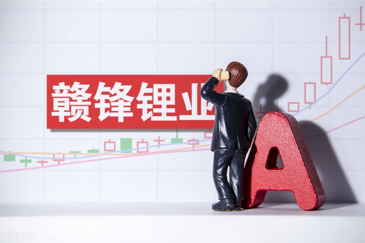 机构重仓A股18家锂资源概念股