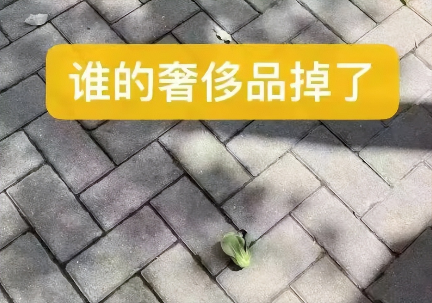 元宇宙里没有菜吃，这个能把菜送进隔离小区的硬核小车才是真靠谱