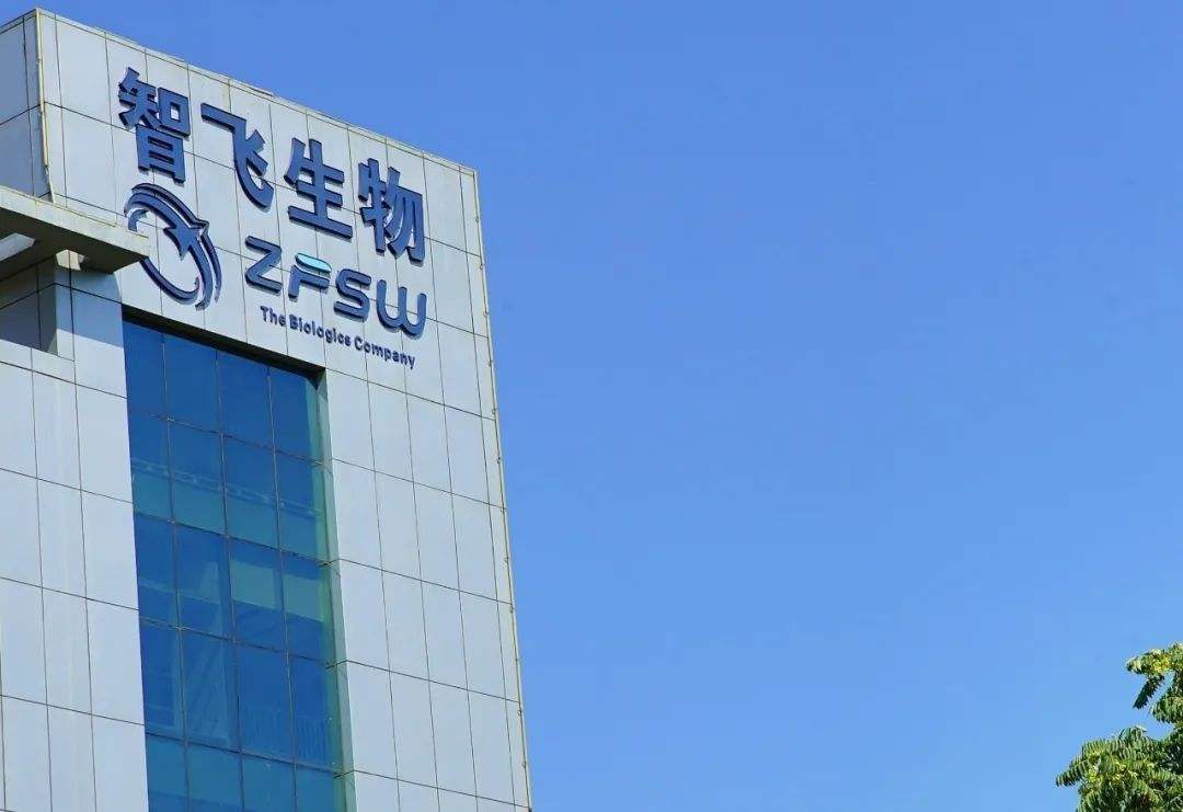 中国股市：主力资金大幅流入的4只医药股（附名单）