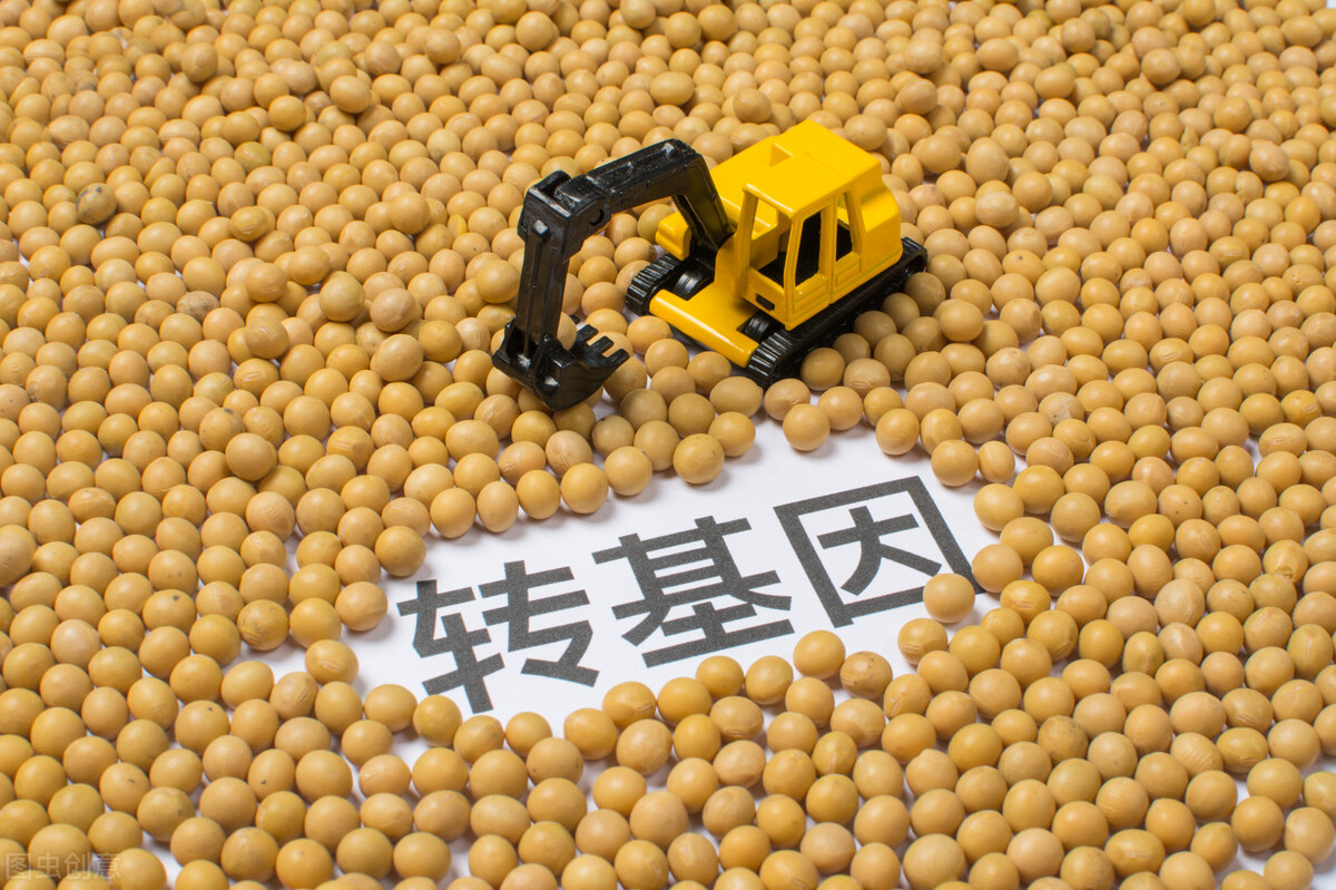 孟山都的农业“芯片”入侵你知道吗？比美国制裁华为芯片更可怕