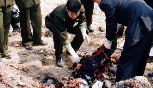 2884米高空解体，160人全部遇难，西北航空空难竟然因为一个插头