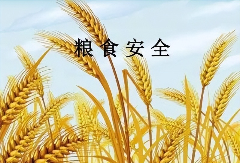 来自俄罗斯的警告：打仗了，粮食能源才是硬通货！中国已提前布局