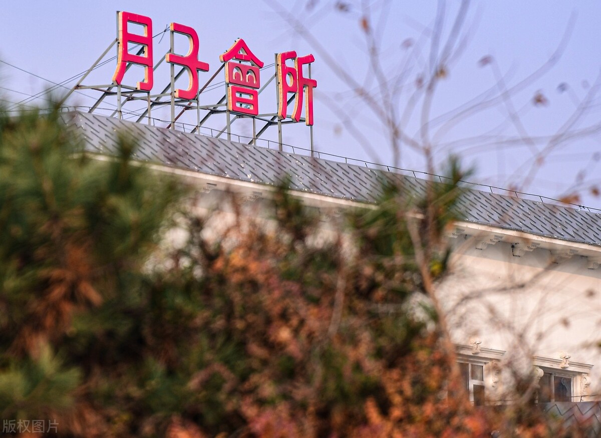 如何做到人间清醒？攀比，是让你不幸福的始作俑者