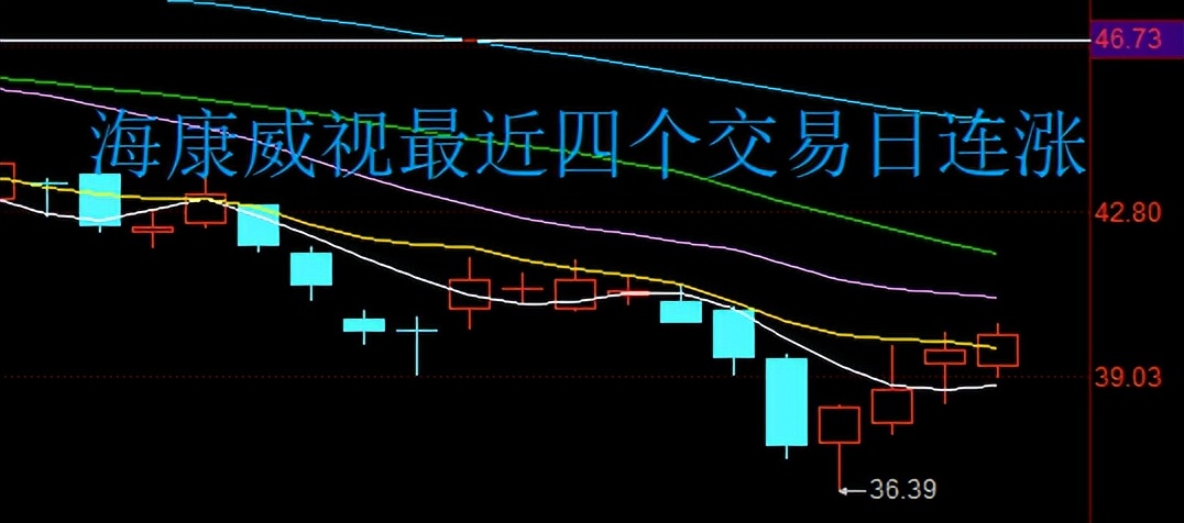 “三个涨停才回本”，海康威视市值蒸发2878亿，抄底的股民被套