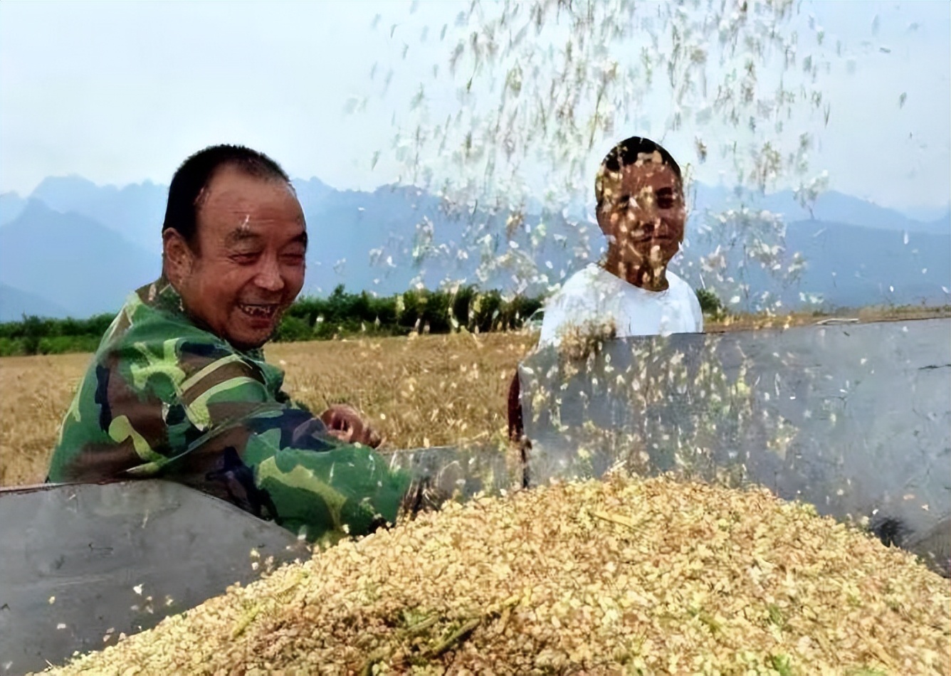 全球粮价上涨，多国停止出口，西方竟甩锅让我们开仓放粮？