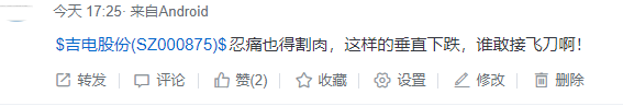 “忍痛割肉”！吉电股份的股价几乎垂直般下跌，机构唱多也没用