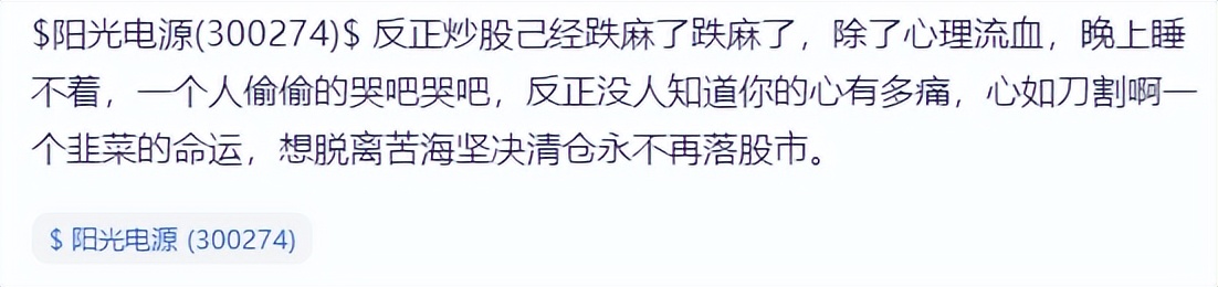 “跌麻了”，阳光电源跌停，一日之内股民户均浮亏19万