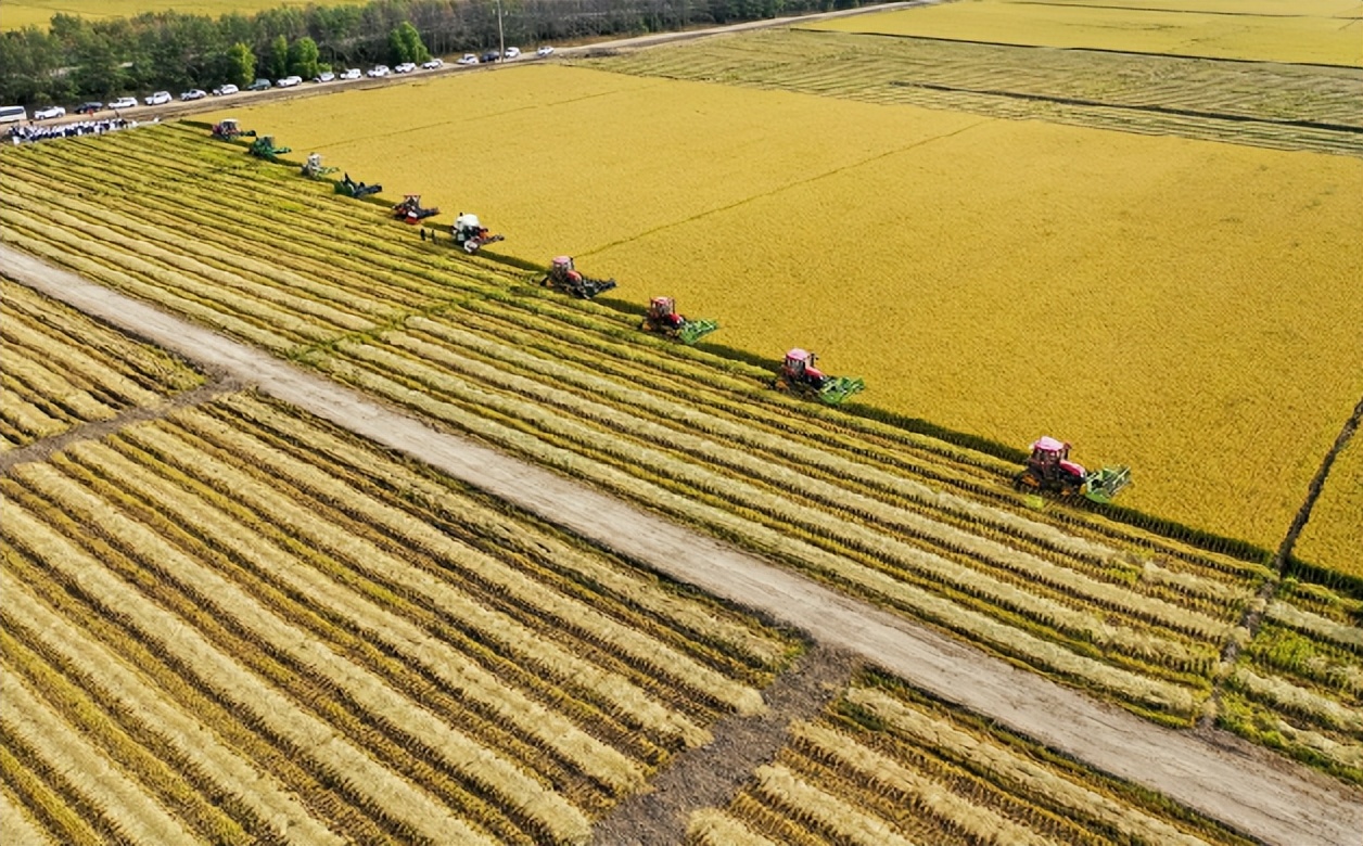 全球粮食价格飙涨，联合国发出警告，要为大饥荒做好准备？