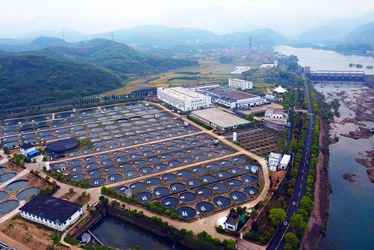 一罐21万，本是俄罗斯王牌产业，却被中国企业干到世界第一