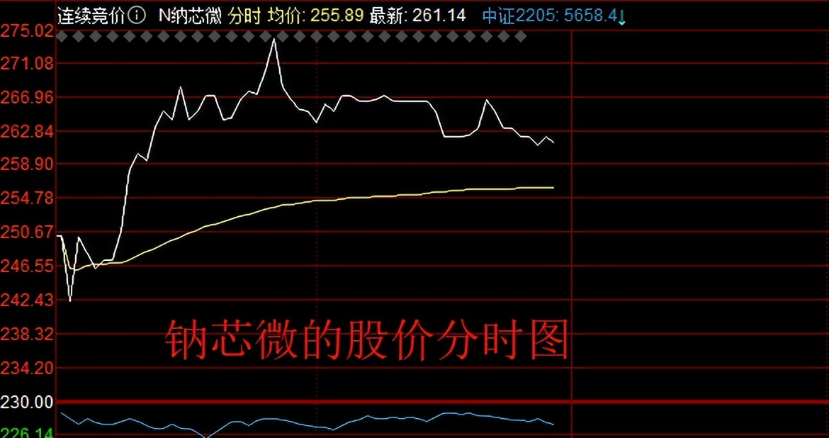 “弃购像是赚钱了”，赛微微电首日破发，中一签最大亏损11620元
