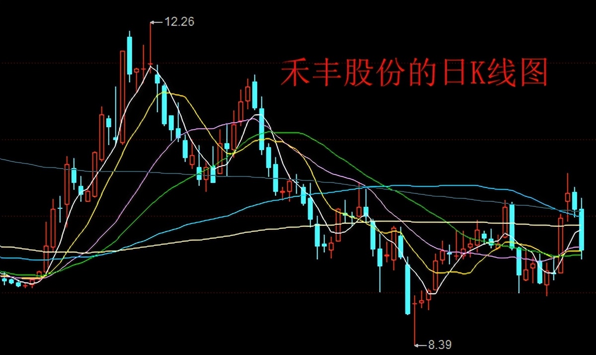 钻石级小肉签发行申购，发行规模15亿，但股民很难中一签