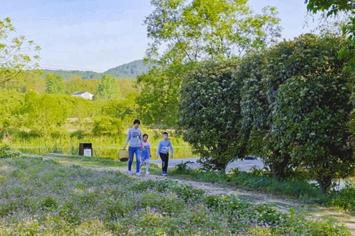 钱赚够回家开农场有多爽？大佬辞职逃离“北上广”，每天喂鸡种地
