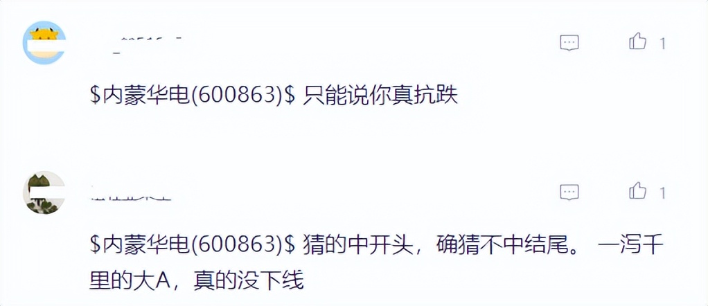 “真抗跌”，内蒙华电的股价逆势上行，机构投资者在抱团
