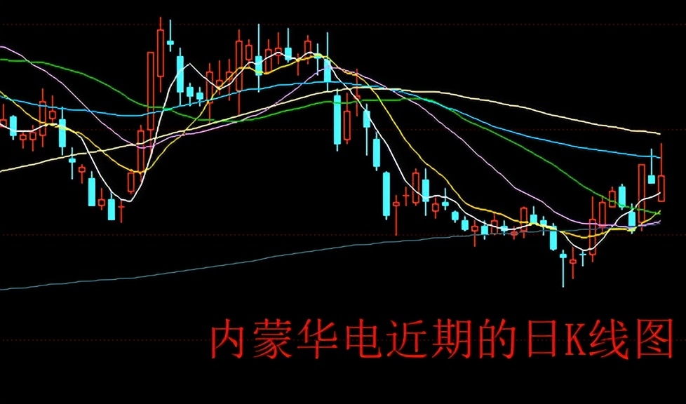 “真抗跌”，内蒙华电的股价逆势上行，机构投资者在抱团