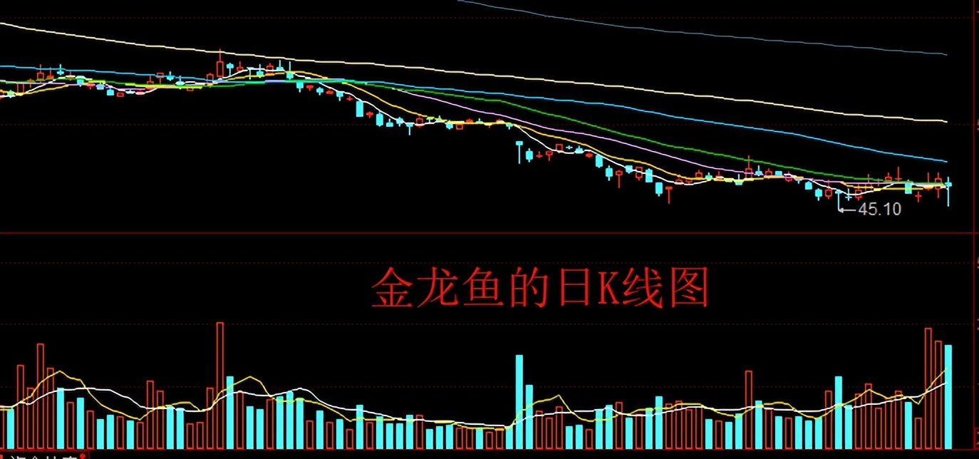 “和大盘反着来”，金龙鱼的股价横盘震荡一个月，底部到了吗？